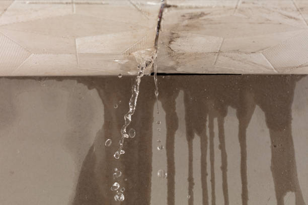 Professional Burst Pipe Cleanup technician working in Arpin, WI